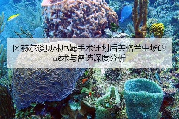 图赫尔谈贝林厄姆手术计划后英格兰中场的战术与备选深度分析