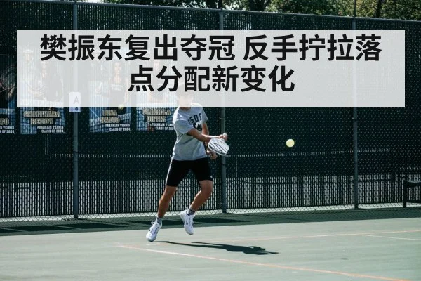 樊振东复出夺冠 反手拧拉落点分配新变化